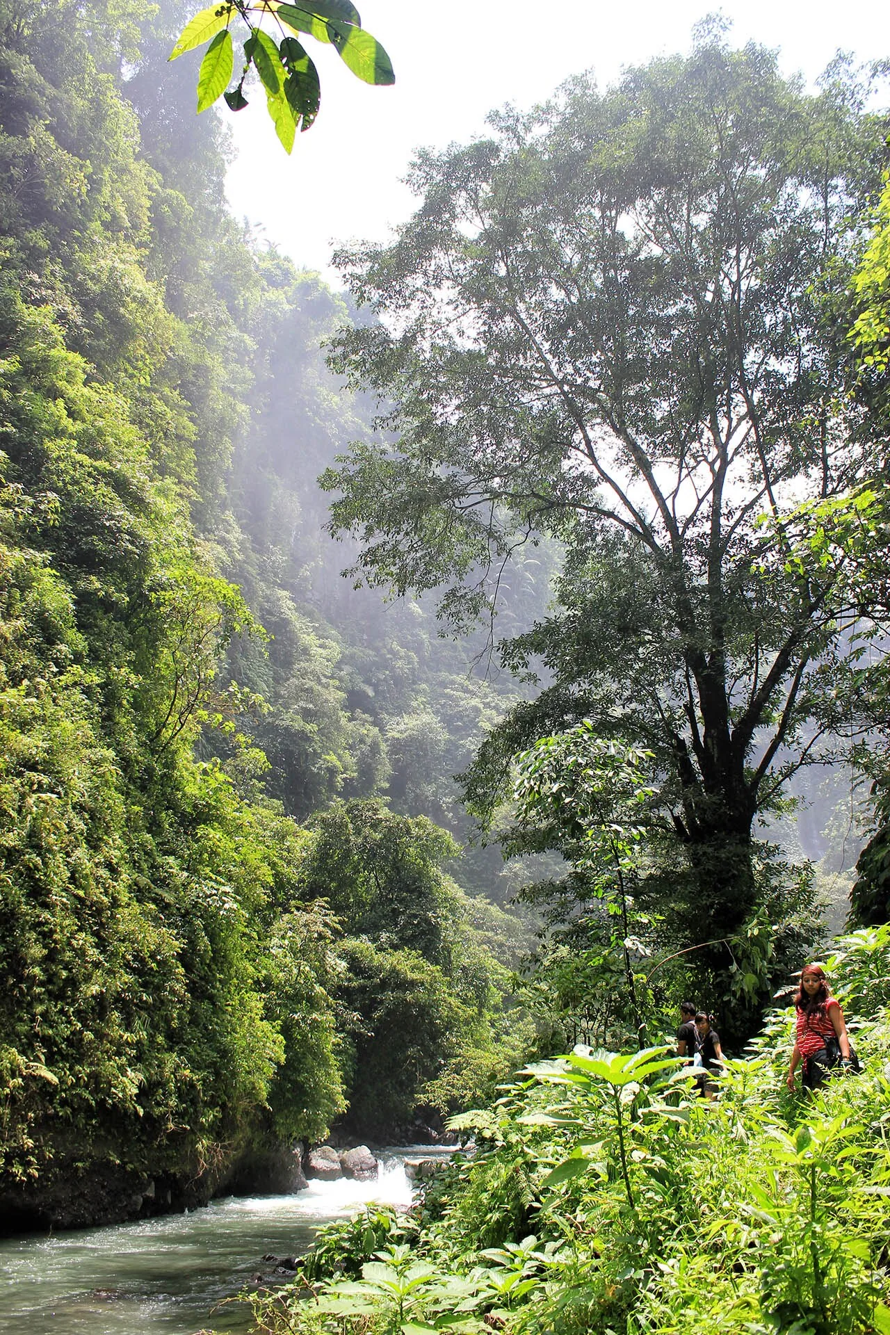 Banyumala Twin Waterfalls Lagoon