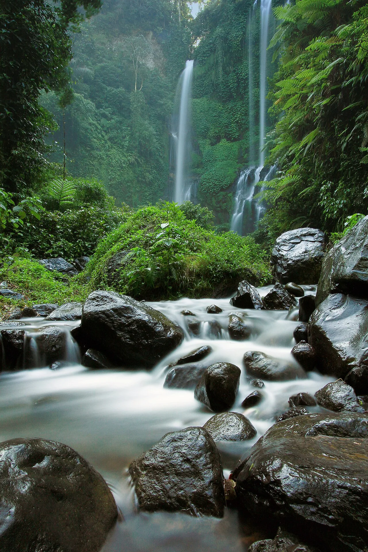 Ethical & Sustainable Tourism